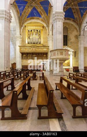 Italien, Toskana, Provinz Lucca, Lucca, San Martino (St. Martin) Kathedrale im romanischen toskanischen Stil im 11. Und 13. Jahrhundert, Kanzel und Mascioni Orgelpfeife aus den Jahren 1957 bis 1962, Piazza san Martino Stockfoto