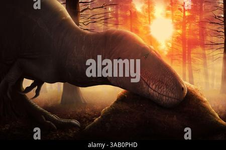 Daspletosaurus überprüft die Temperatur seines Nestes mit seiner Schnauze. Stockfoto