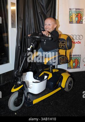 21. November 2008 – Los Angeles, Kalifornien, Vereinigte Staaten von Amerika – MIAMI BEACH, FL – 21. NOVEMBER: Schauspieler Verne Troyerkommt zur 12. Jährlichen Miami Beach Gala. Am 21. November 2008 in Miami Beach, Florida... People: Verne Troyer (Credit Image: © SMG via ZUMA Wire) Stockfoto