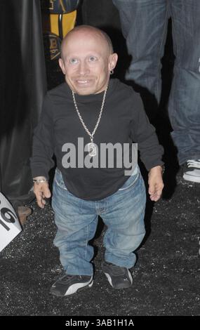 21. November 2008 – Los Angeles, Kalifornien, Vereinigte Staaten von Amerika – MIAMI BEACH, FL – 21. NOVEMBER: Schauspieler Verne Troyerkommt zur 12. Jährlichen Miami Beach Gala. Am 21. November 2008 in Miami Beach, Florida... People: Verne Troyer (Credit Image: © SMG via ZUMA Wire) Stockfoto