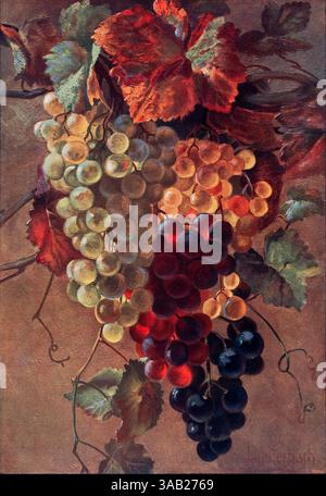 Weintrauben, Trauben, Farbhalbton der Malerei von Alwin Lauterbach aus Dekorative Vorbilder XVII, 1906 Stockfoto