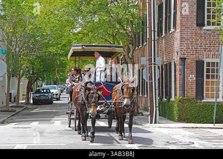 Charleston South Carolina SC Architektur historische Altstadt Touristen auf einer Kutschfahrt mit Reiseleiter auf der Stadtstraße Stockfoto