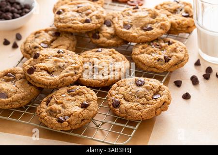 Schokoladen-Chip-Cookies mit Pekannüssen, frisch gebackene Kekse auf einem Kühlregal serviert mit Milch Stockfoto