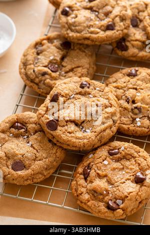 Schokoladen-Chip-Cookies mit Pekannüssen, frisch gebackene Kekse auf einem Kühlregal serviert mit Milch Stockfoto