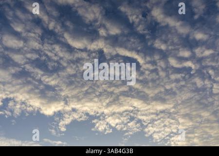 Wolken am Himmel mit niedriger Sonne, Sachsen, Deutschland, Europa Stockfoto
