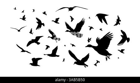Eine Herde von Enten und Möwen, die fliegen. Handzeichnung. Nicht AI. Vektorabbildung Stock Vektor
