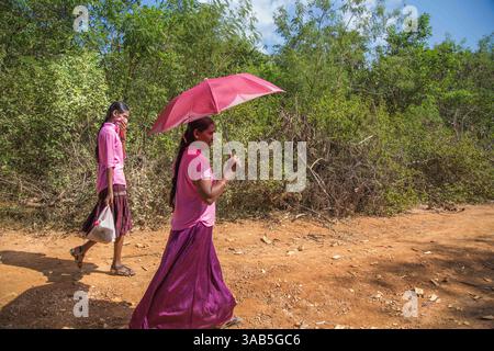10. April 2015 – Jaffna-Halbinsel, Sri Lanka – Leela und ihre Tochter versuchen, ihr ehemaliges Zuhause im Bezirk Valikamman zu finden, können sich aber nicht an den genauen Ort erinnern, da die Vegetation über den während des Konflikts zerstörten Häusern gewachsen ist. Der Sri-lankische Bürgerkrieg begann am 23. Juli 1983 und war ein Aufstand gegen die Regierung der Liberation Tigers of Tamil Eelam (LTTE oder Tamil Tigers), die für einen unabhängigen tamilischen Staat Tamil Eelam kämpften. Nach einem 26-jährigen Krieg und schätzungsweise 40.000 zivilen Toten besiegte die srilankische Armee am 2009. Mai die Tamil Tigers. Viele Tamilen W Stockfoto