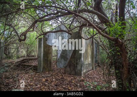 14. April 2015 – Halbinsel Jaffna, Sri Lanka – Tamil-VERTRIEBENE kehren zurück, um ihre Häuser verwüstet und durchwühlt zu finden. Fenster, Türen und Dächer wurden von ihren Häusern in Vasavilan East geplündert. Der Sri-lankische Bürgerkrieg begann am 23. Juli 1983 und war ein Aufstand gegen die Regierung der Liberation Tigers of Tamil Eelam (LTTE oder Tamil Tigers), die für einen unabhängigen tamilischen Staat Tamil Eelam kämpften. Nach einem 26-jährigen Krieg und schätzungsweise 40.000 zivilen Toten besiegte die srilankische Armee am 2009. Mai die Tamil Tigers. Viele Tamilen wurden während des 26-jährigen Krieges vertrieben, ihre ehemaligen Profis Stockfoto