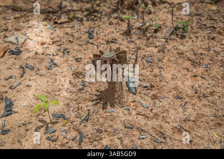 14. April 2015 - Jaffna-Halbinsel, Sri Lanka - in Valikamam wartet ein nicht explodierter Panzer. Der Sri-lankische Bürgerkrieg begann am 23. Juli 1983 und war ein Aufstand gegen die Regierung der Liberation Tigers of Tamil Eelam (LTTE oder Tamil Tigers), die für einen unabhängigen tamilischen Staat Tamil Eelam kämpften. Nach einem 26-jährigen Krieg und schätzungsweise 40.000 zivilen Toten besiegte die srilankische Armee am 2009. Mai die Tamil Tigers. Viele Tamilen wurden während des 26-jährigen Krieges vertrieben, ihr einst vielversprechendes Land verwüstete über die Jahre und das srilankische Militär nutzte das Land für landwirtschaftliche Zwecke Stockfoto