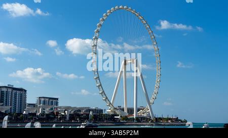 Ain Dubai oder Eye of Dubai ist ein riesiges Riesenrad auf der Bluewaters Island in Dubai, Vereinigte Arabische Emirate. Es ist der höchste Riesenobservati der Welt Stockfoto