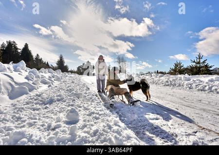 Am verschneiten Wintertag unter hellblauem Himmel sitzt ein Mann in warmer Kleidung auf einem Schlitten neben einem schwarzen und braunen Hund, während die Frau hinter ihm steht und die Szene beobachtet Stockfoto