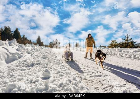 Winterspaziergang mit Schlitten und Hund, Paar über 50 haben Spaß im Freien. Stockfoto