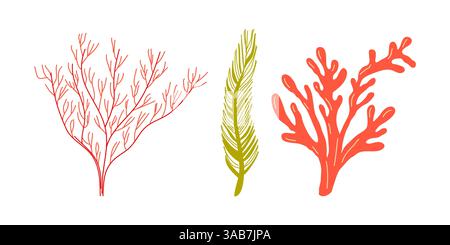 Meerespflanzen Unterwasser Meeresflora Set. Design für Banner Poster Vorlage Einladungskarte. Vektorabbildung. Stock Vektor