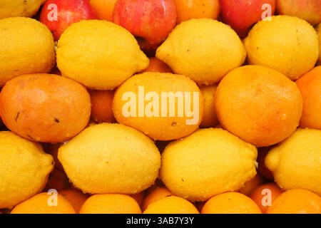 Leuchtend gelbe Zitronen und Orangen, gestapelt auf einem Markt Stockfoto