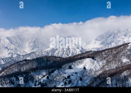 Schneebedeckter Wald mit steilen, zerklüfteten Bergen dahinter. Alpine Landschaft Stockfoto