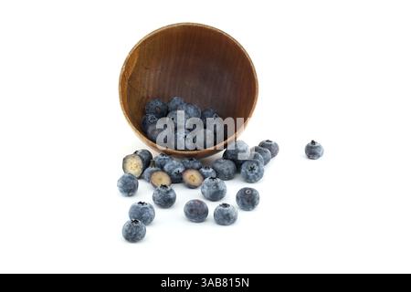 Frische Heidelbeeren, die aus einer Holzschale vor einem sauberen, weißen Hintergrund verschüttet werden, mit einem Fokus auf natürliche Ernährung und gesunde Ernährung. Stockfoto