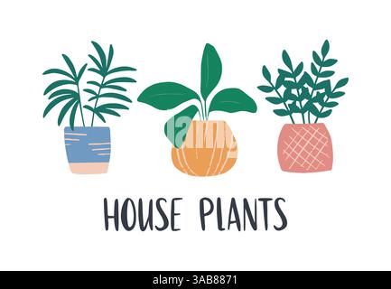 Trendiges Wohndekor mit handgezeichneter Hauspflanze. Stock Vektor
