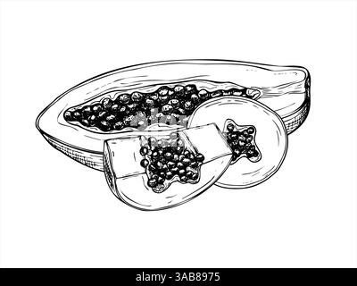 Halbfrucht- und Querschnittsscheiben mit detaillierter Darstellung der Strichtinte in Schwarzweiß. Tropische süße Frucht handgezeichneter monochromer Vektor Stock Vektor
