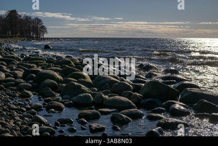 Felsige Küste mit blauem Himmel und Bäumen in der Ferne Stockfoto