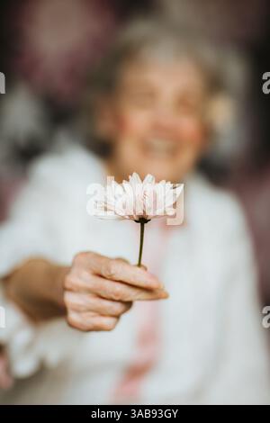 Eine ältere Frau streckt eine zarte rosa Blume in Richtung Kamera mit einem sanften Lächeln im Hintergrund. Der verschwommene Effekt hebt die Schönheit von Verwandten hervor Stockfoto