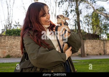 Eine Frau mit langen Haaren in einem gemütlichen Pullover hält einen kleinen chihuahua draußen. Sie lächelt liebevoll das chihuahua an, umgeben von einem sonnigen Park Stockfoto
