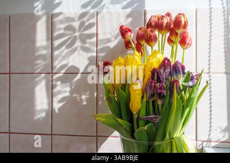 Ein verblichener Tulpenstrauß in einer Glasvase vor dem Hintergrund einer Wand mit Schatten in Form von Blumen. Stockfoto