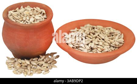 Sonnenblumensamen mit vielen Nährwerten Stockfoto