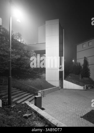 Ein moderner Stadtaufzug taucht aus dem Nebel in einer nächtlichen Umgebung auf, die durch die stimmungsvolle Straßenbeleuchtung hervorgehoben und von üppigem Laub umgeben ist. Stockfoto