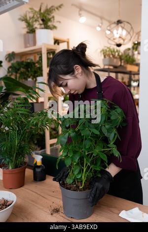 Eine junge Frau mit Handschuhen pflegt eine Topfpflanze auf einem Holztisch in einem gut beleuchteten Garten. Verschiedene Pflanzen und Werkzeuge sind sichtbar, wodurch ein s entsteht Stockfoto