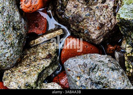 Nahaufnahme von Wet Rocks and Pebbles. Bunte Steine und Wasserreflexion. Nahaufnahme von gemischten Wet Rocks und Stream Stockfoto