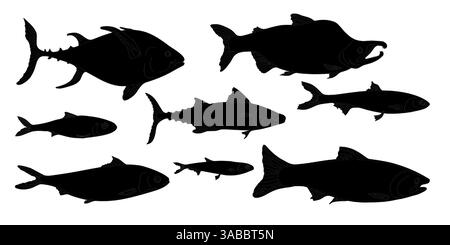 Schwarze Silhouette Fisch Set von Lachs, Thunfisch, Makrele Vektor Illustration auf weiß. Gruppe Fische Sardine, Sardellen handgezeichnet. Seefisch handbemalt Stock Vektor