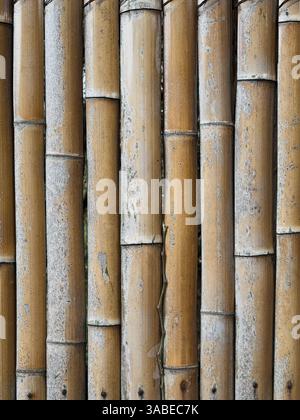 Eine Nahaufnahme eines verwitterten Bambuszauns mit alten Texturen, natürlichen Mustern und Erdtönen in einer rustikalen Umgebung im Freien. Stockfoto
