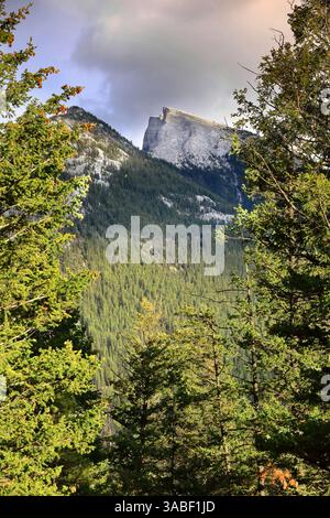 087 nordwestlichste Gipfel des Mount Rundle Range, durch Nadelbäume vom Surprise Corner Viewpoint am Tunnel Mountain aus gesehen. Banff-Alberta-Kanada. Stockfoto