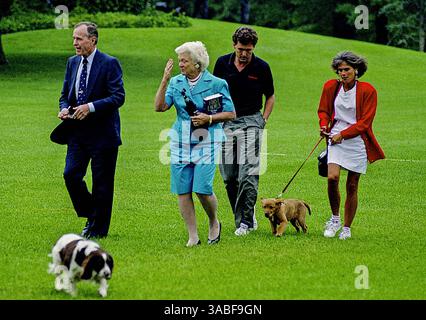 23. Juni 1991: Washington, District of Columbia, Vereinigte Staaten von Amerika - Washington, DC, USA, 23. Juni 1991. Präsident George H.W. Bush kehrt über Marine One aus Camp David ins Weiße Haus zurück und landet auf dem South Lawn. Begleitet von seinem Sohn Marvin Bush und seiner Tochter Dora Bush und der First Lady Barbara Bush und den Familienhunden. (Kreditbild: © Mark Reinstein via ZUMA Wire) Stockfoto