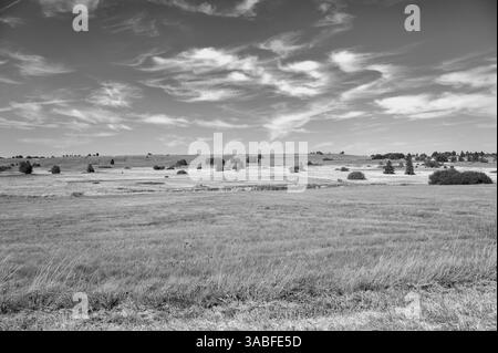 Landschaft mit Wiese und einigen Bäumen im hohen Rhoen, Deutschland Stockfoto