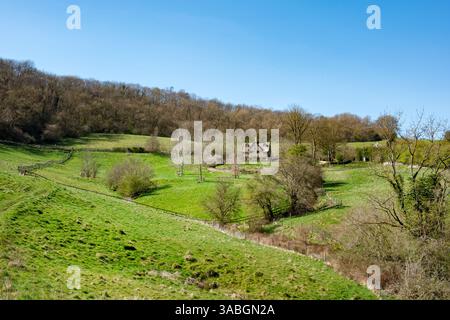 Cotswolds, Gloucestershire. Ein Blick über die offene grüne Landschaft zu einem traditionellen Bauernhaus aus Stein, eingebettet unter einem baumgesäumten Horizont Stockfoto