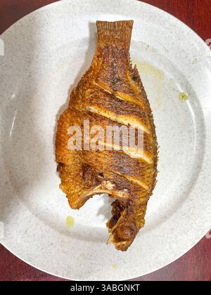 Gebratene Tilapia oder Nila Goreng serviert auf weißem Teller Stockfoto