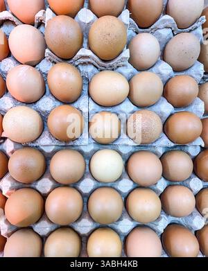 Foto von oben mit Hühnereiern, die in einem Karton angeordnet sind Stockfoto