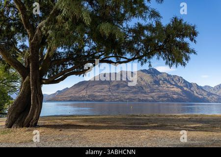 Die Remarkables Mountains Über Den Lake Wakatipu In Queenstown, Neuseeland Stockfoto