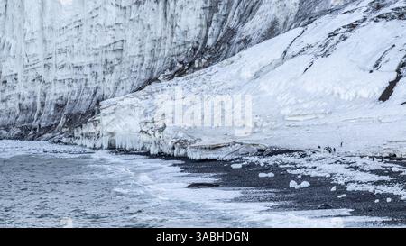 Adelie Pinguine und Weddell Seal auf der kargen Icy Beach Shingle auf Franklin Island in der Rosssee, Antarktis Stockfoto