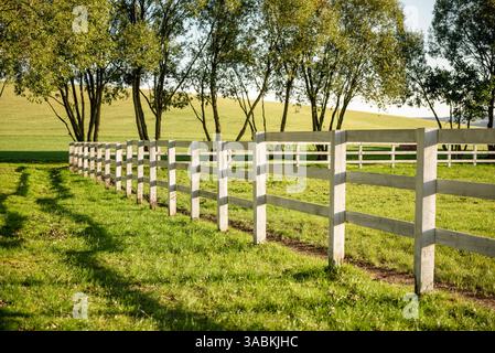 Weiße Pferdezäune auf dem Land. Weißer Holzzaun auf einer Farm am Oktobernachmittag, grüne Felder im Hintergrund. Stockfoto