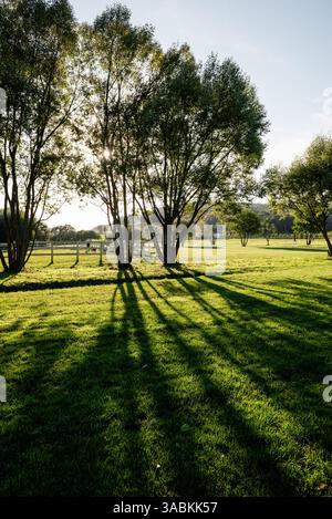 Bäume werfen Schatten auf den Rasen. Ländliche Bauernlandschaft mit grünem Gras, weißem Zaun und Hügeln im Hintergrund. Stockfoto
