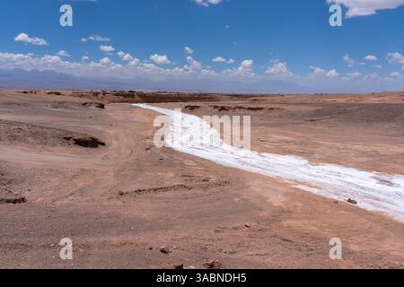 Weiße Salzablagerungen in einem langen gekrümmten trockenen Flussbett in der Atacama-Wüste, Chile. Stockfoto