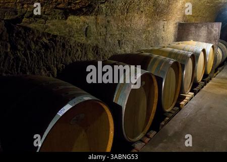 Frankreich, Indre-et-Loire (37), Saint-Martin-le-Beau, Weinkeller Domaine des Liards (Berger Frères), AOC Montlouis-sur-Loire, troglodyte cellar du Stockfoto