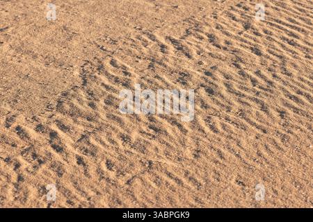 Ein Nahaufnahme-Bild, das komplexe Sandmuster zeigt, die durch sanfte Wellen unter warmem Sonnenlicht gebildet werden und natürliche Texturen und Erdtöne hervorhebt, die an diese erinnern Stockfoto