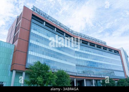 Houston, Texas, USA - 6. April 2024: Brown Foundation Institute of Molecular Medicine am Texas Medical Center in Houston, Texas, USA. Stockfoto