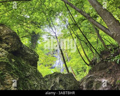 Der Wasserfall in Bad Urach, eingebettet in eine üppig grüne Waldlandschaft. Das Wasser fließt an einer Felswände hinunter und bildet einen kleinen Pool am Boden, umgeben Stockfoto