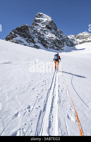 Skitourer mit Seil, Seilteam auf dem Gletscher Vadret da Porchabella beim Aufstieg zum Gipfel des Piz Kesch, Berglandschaft im Winter, alpines To Stockfoto