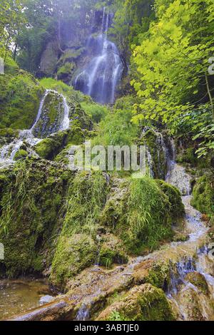 Der Wasserfall in Bad Urach, eingebettet in eine üppig grüne Waldlandschaft. Das Wasser fließt an einer Felswände hinunter und bildet einen kleinen Pool am Boden, umgeben Stockfoto