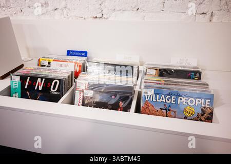 Lemberg, Ukraine - 01. April 2025: Schallplattensammlung mit Kategorien, die ikonische Alben und verschiedene Musikgenres hervorheben. Stockfoto